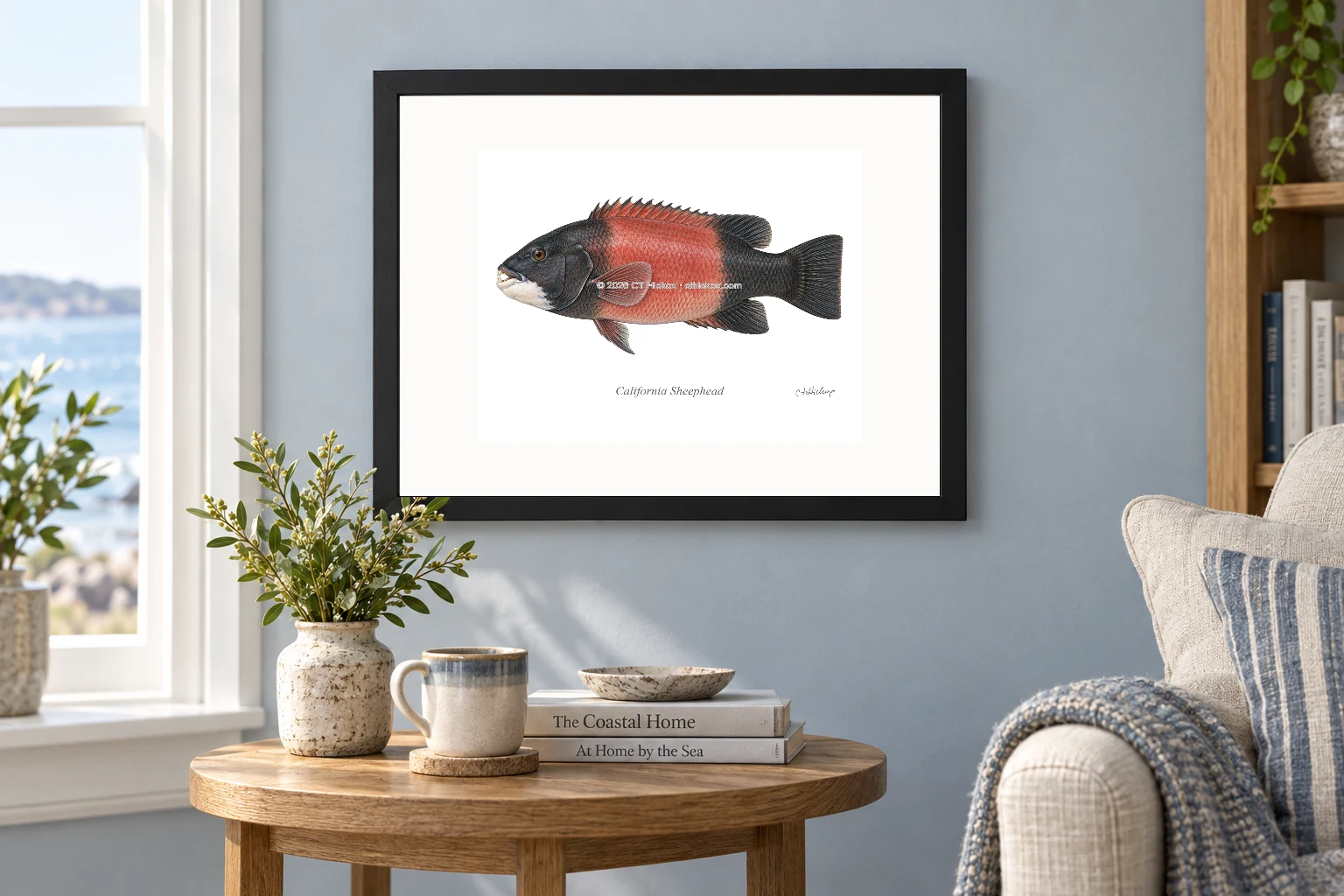 California Sheephead in a black 14 × 11 landscape frame, white mat and 10 × 8 opening, above a wooden console