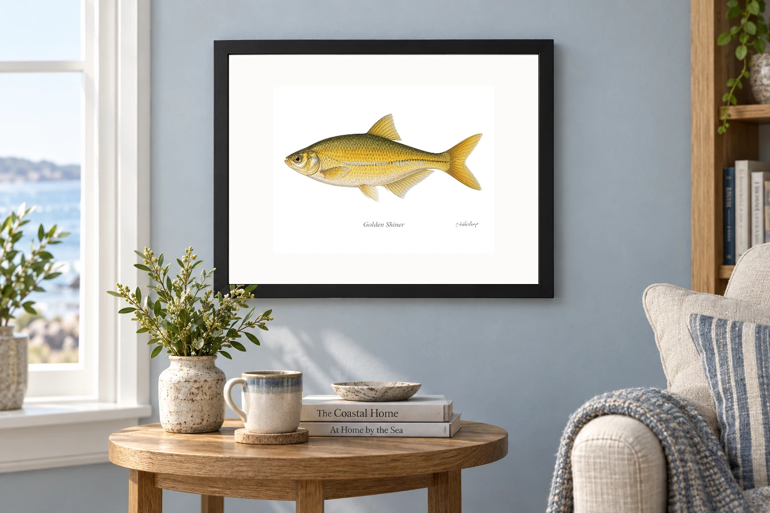 Golden Shiner in a black 14 × 11 landscape frame, white mat and 10 × 8 opening, above a wooden console