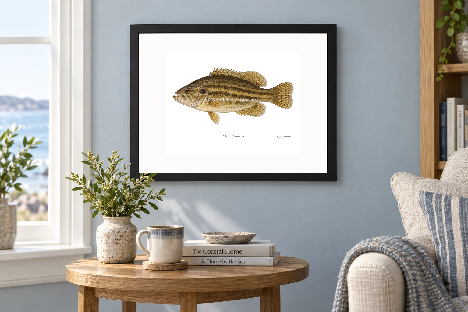 Mud Sunfish in a black 14 × 11 landscape frame, white mat and 10 × 8 opening, above a wooden console